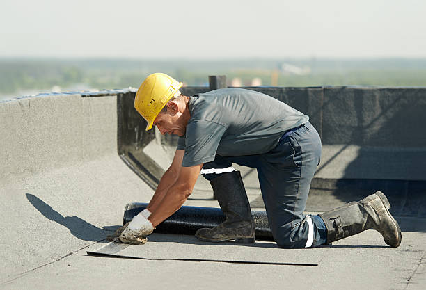 Best Energy-efficient Insulation  in Choccolocco, AL